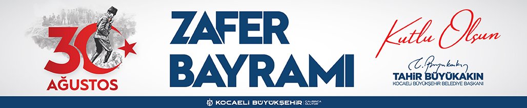 30 AGUSTOS INTERNET ILANLARI